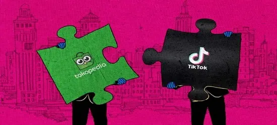 Terungkap Beberapa Alasan TikTok Ingin kerja Sama Dengan Tokopedia